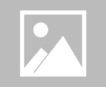  斯图加特保级关键战告负，极端球迷赛后围堵球场  